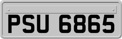 PSU6865