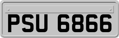 PSU6866