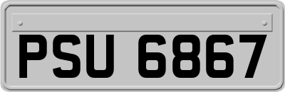 PSU6867
