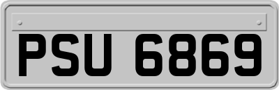 PSU6869