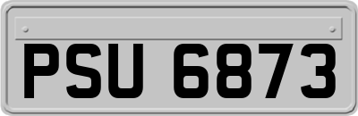 PSU6873
