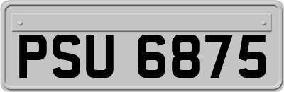 PSU6875
