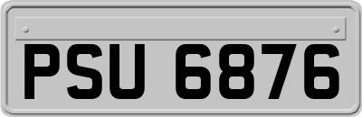 PSU6876