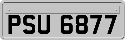 PSU6877