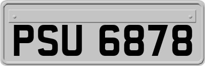PSU6878