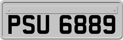 PSU6889