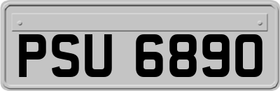 PSU6890