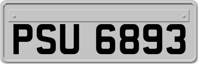 PSU6893