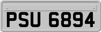PSU6894