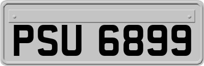 PSU6899
