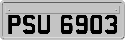 PSU6903