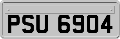 PSU6904