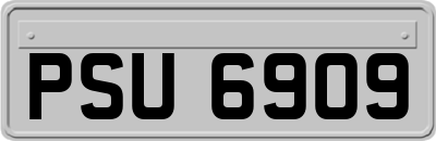 PSU6909