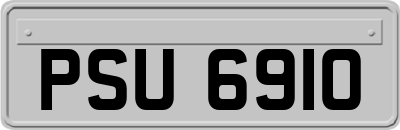 PSU6910