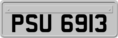 PSU6913