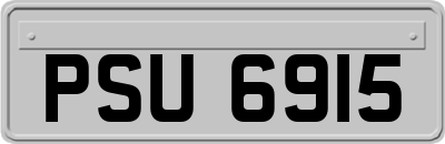 PSU6915