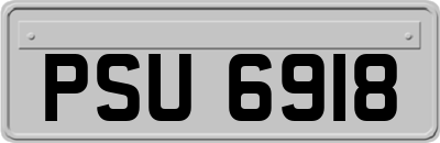 PSU6918