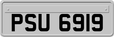 PSU6919
