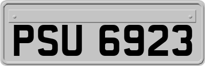 PSU6923