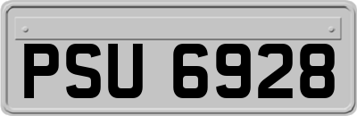 PSU6928
