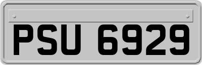 PSU6929
