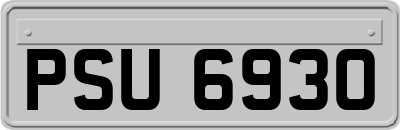 PSU6930