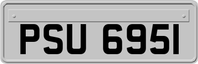 PSU6951