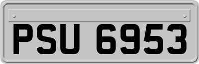 PSU6953