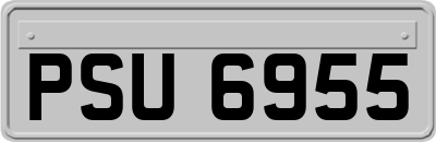 PSU6955