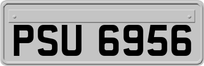 PSU6956