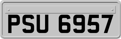 PSU6957