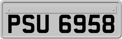 PSU6958