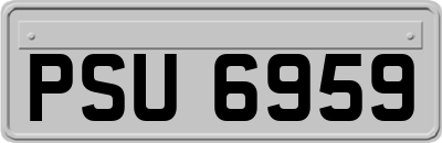 PSU6959