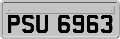 PSU6963