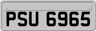 PSU6965