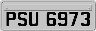 PSU6973