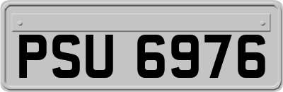 PSU6976