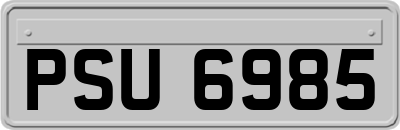 PSU6985