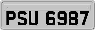 PSU6987