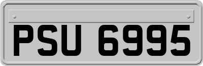 PSU6995