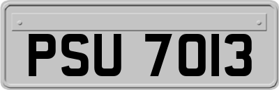 PSU7013