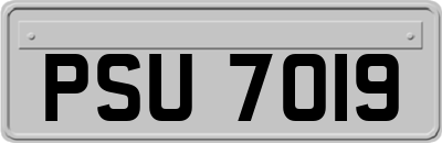 PSU7019