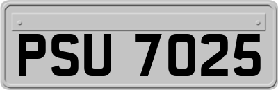 PSU7025