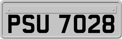 PSU7028