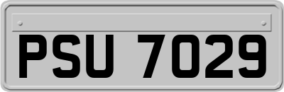 PSU7029