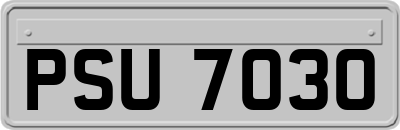 PSU7030