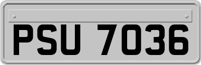 PSU7036