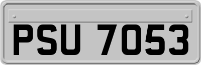 PSU7053