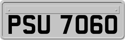 PSU7060