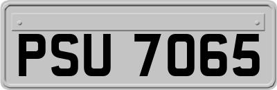 PSU7065